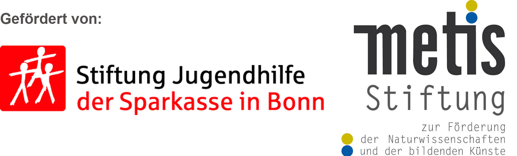 Logo Metis Jugendstiftung
